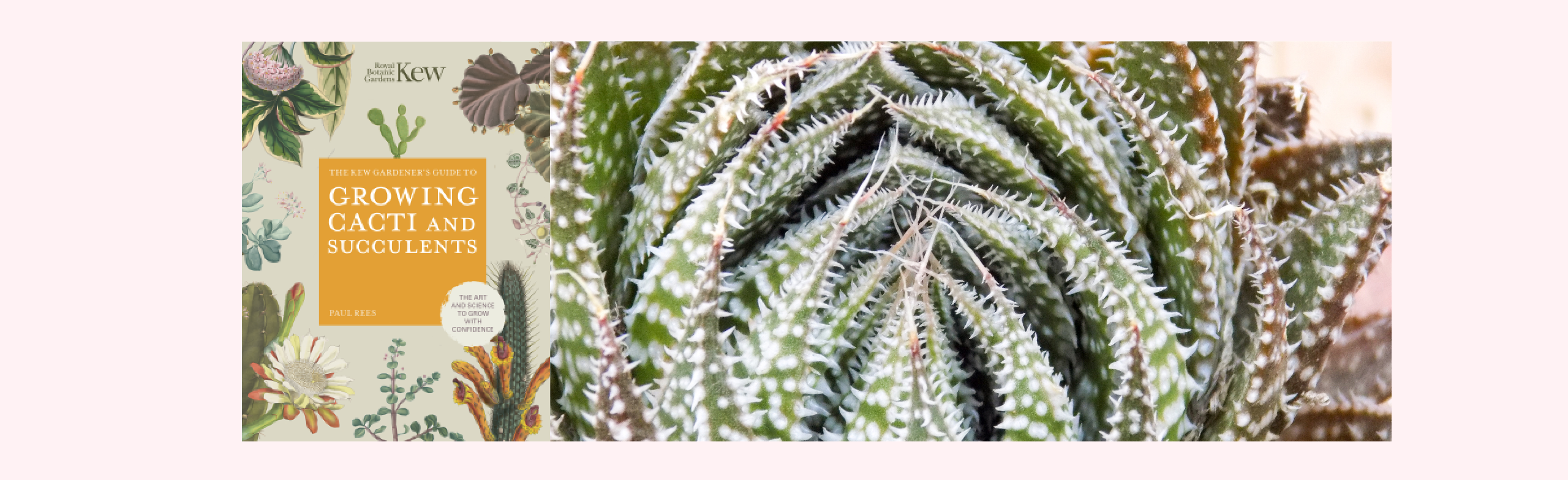 Book Review: Kew Gardener's Guide to Growing Cacti and Succulents by ...